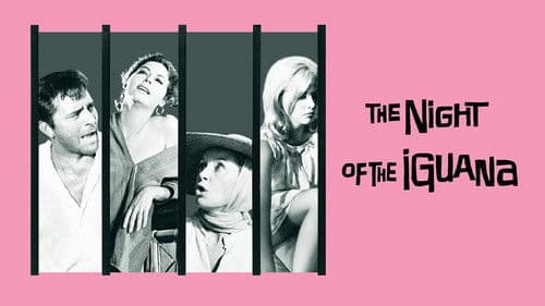 Die Nacht des Leguan Bild 8