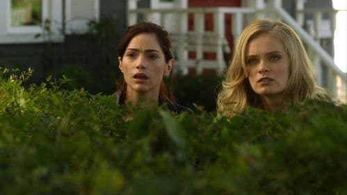 Happily Ever After Bild 2