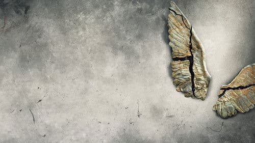 Cults and Extreme Belief Bild 3