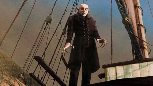 Nosferatu – Ein Film wie ein Vampir Bild 3