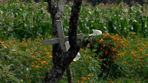 Por lo que Perdimos Bild 4