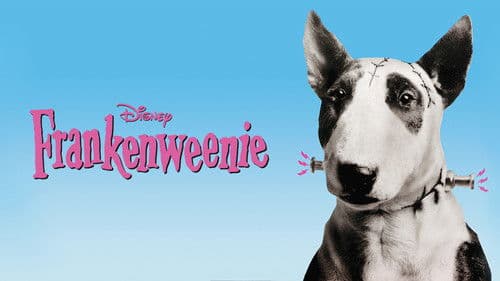 Frankenweenie Bild 3