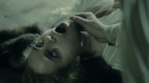 The Field Guide to Evil Bild 2