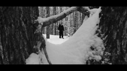 Echoes Of Ivory Bild 2