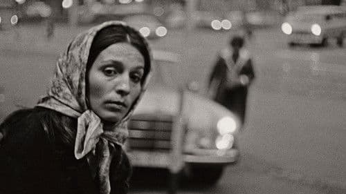 Shirins Hochzeit Bild 2