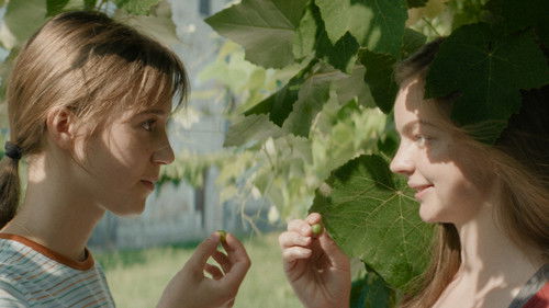 Little Trouble Girls Bild 4