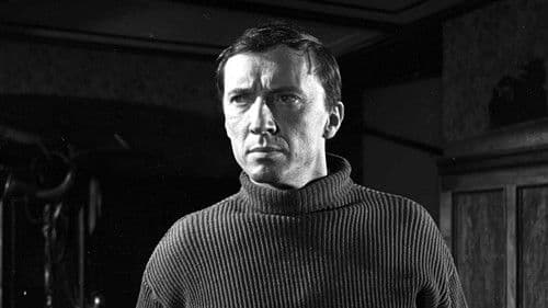 Pierwszy dzień wolności Bild 3