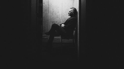 Bono: Stories of Surrender Bild 5