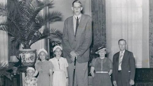 The Story of Robert Bild 1