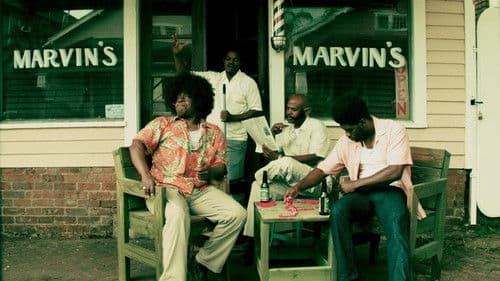 N.O.L.A Circus Bild 1