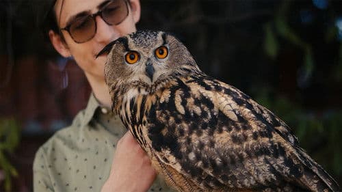 Rite of the Shaman Bild 1