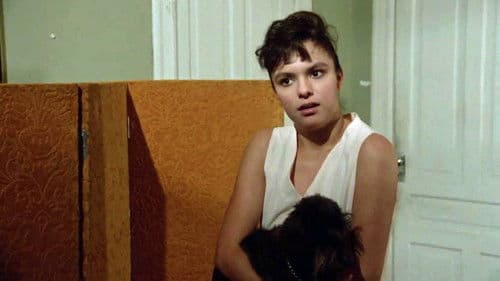 Ellos trajeron la violencia Bild 4