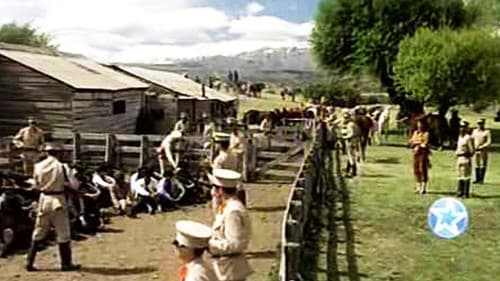 Flores amarillas en la ventana Bild 3