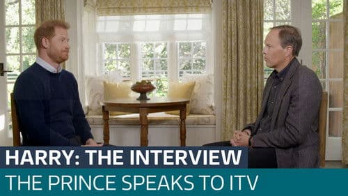 Harry: The Interview Bild 5