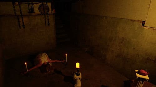 Lone Star Enigma Bild 2