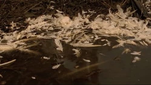 人妻集団暴行致死事件 Bild 8