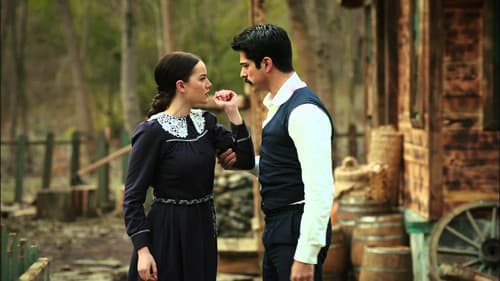 Çalıkuşu Bild 1