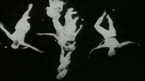 The Very Eye of Night Bild 4