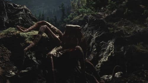 Frankenstein – Der Schrecken mit dem Affengesicht Bild 7