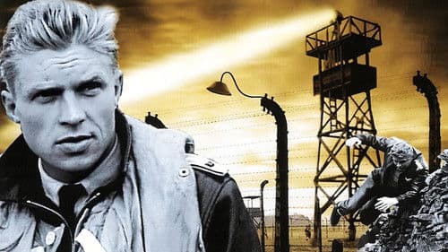 Einer kam durch Bild 4