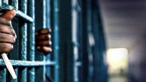 American Jail Bild 2