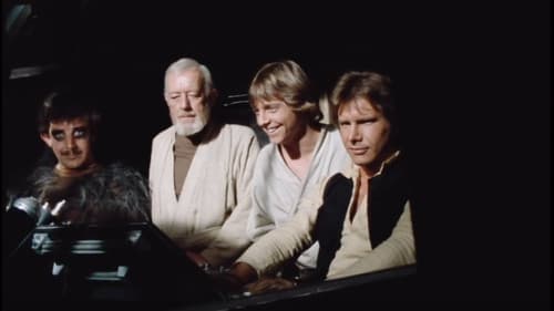 Das Vermächtnis der Skywalker Bild 3