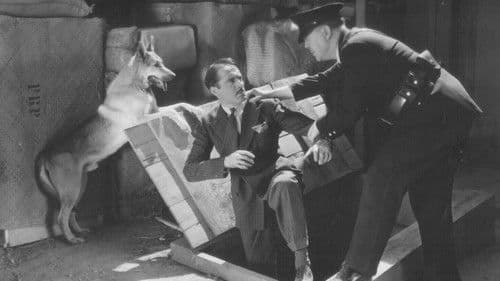 Captured in Chinatown Bild 1