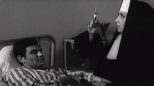 Opatica i komesar Bild 1