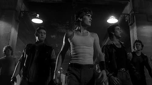 Rumble Fish Bild 1