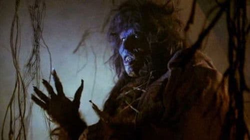 तहखाना Bild 7