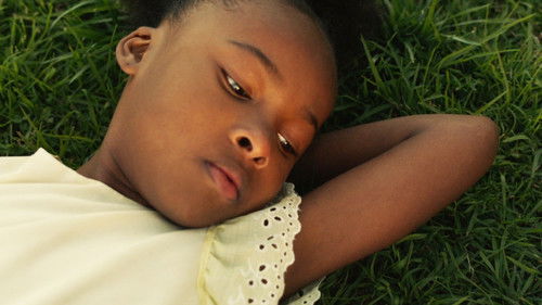 They Charge for the Sun Bild 4