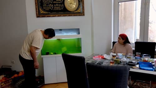 Immer wieder zurückkehren Bild 3