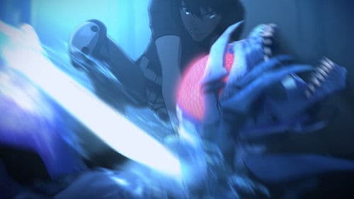 Cagaster of an Insect Cage Bild 5