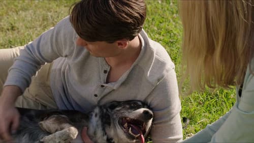 Bräutigam zum Abhaken Bild 1