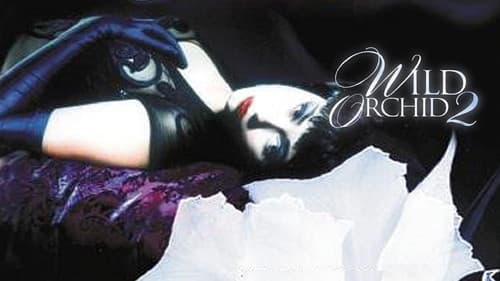 Wilde Orchidee 2 Bild 7