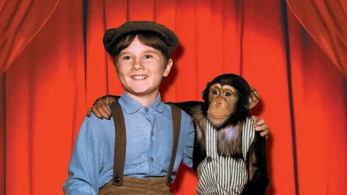 Mein Freund Stubbs Bild 3