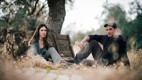 Η Γη Της Ελιάς Bild 1