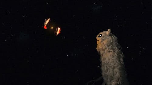 Mãe da Manhã Bild 1