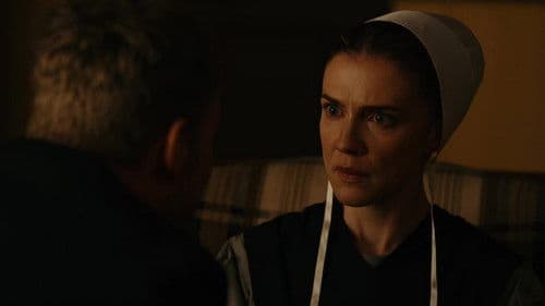 Amish Abduction Bild 1