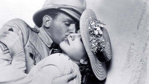 Aufstand in Sidi Hakim Bild 6