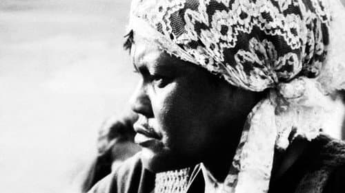 O Tigre e a Gazela Bild 1