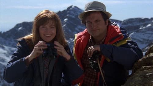 Zwei wie Katz und Maus Bild 4