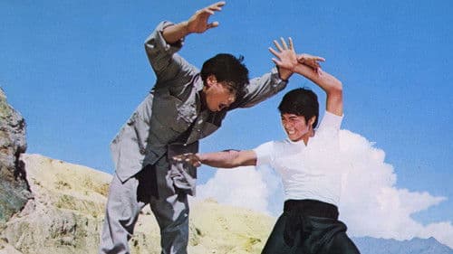 Ling Fu - Der Karate-Killer des Todes Bild 6