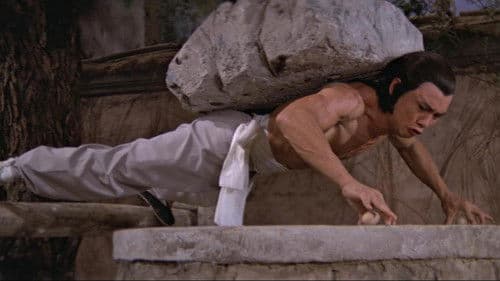 Das Höllentor der Shaolin Bild 5