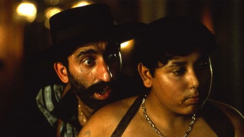 Schwarze Katze, weißer Kater Bild 3