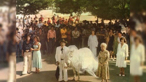 O Jeca e a Égua Milagrosa Bild 1