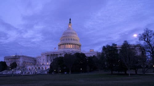 Trump und der Staatsstreich der Konzerne Bild 1