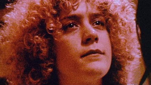 Julien Donkey-Boy Bild 5