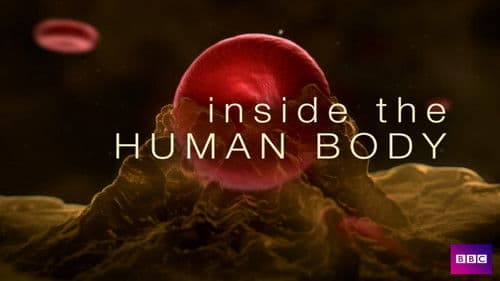Inside the Human Body Bild 1