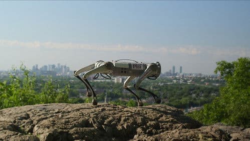 Unbekannt: Killerroboter Bild 6